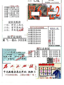 25328期: 福彩3D全套图版参考