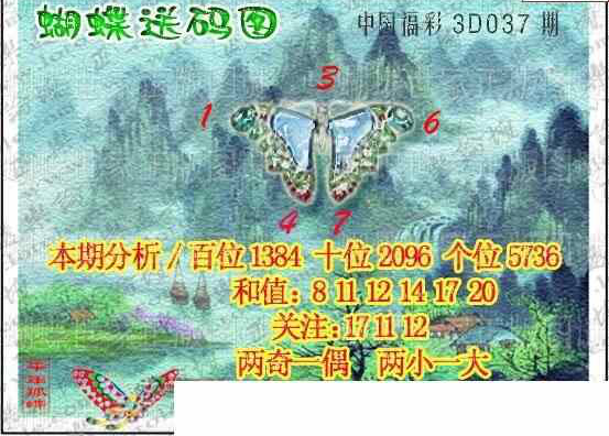 25037期: 3D蝴蝶世家蝴蝶彩图