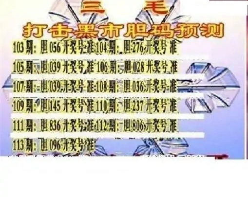 25113期: 三毛3D精品图谜