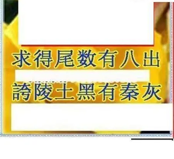 26013期: 三毛3D精品图谜