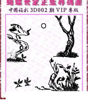 26002期: 3D蝴蝶世家蝴蝶彩图