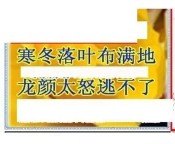 26096期: 三毛3D精品图谜