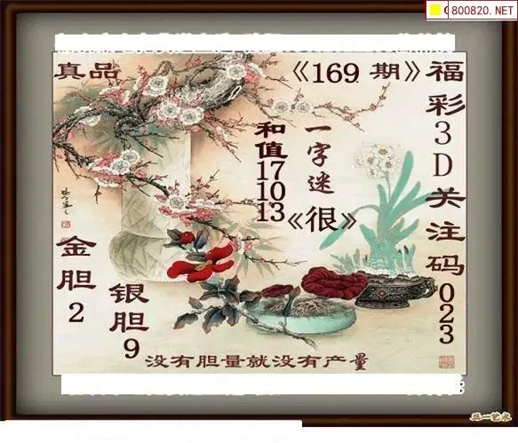 25169期: 白老3D杀码图版