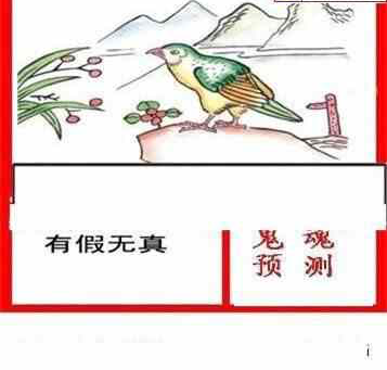 24239期: 白老3D杀码图版