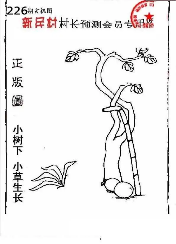 25226期: 老村长福彩3D天天图谜