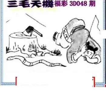 26048期: 三毛3D精品图谜