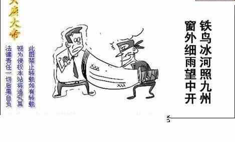 24137期: 白老3D杀码图版