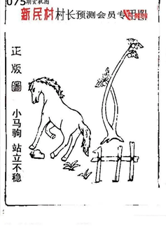 26075期: 老村长福彩3D天天图谜