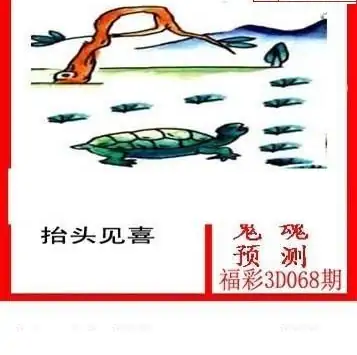 25068期: 白老3D杀码图版