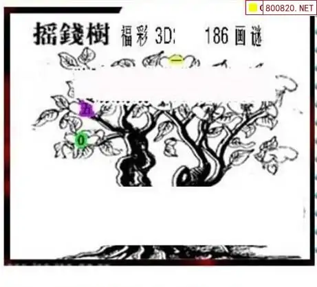25186期: 三毛3D精品图谜