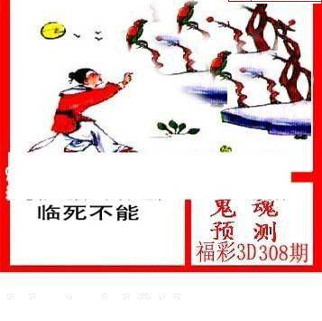 24308期: 白老3D杀码图版