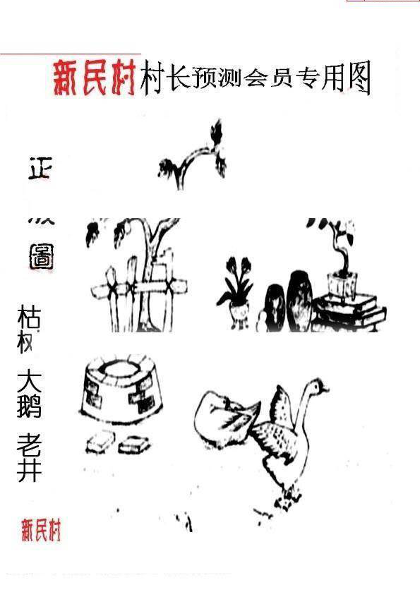 25017期: 老村长福彩3D天天图谜