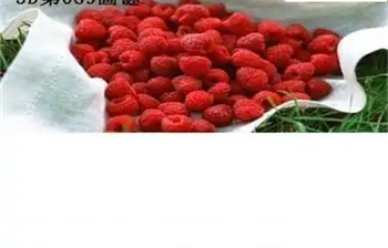 福彩3D26089期天中全套预测分析图