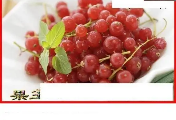 25066期: 白老3D杀码图版