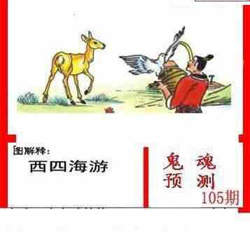 24105期: 白老3D杀码图版