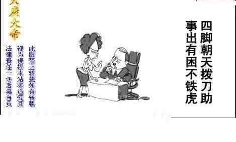 24134期: 白老3D杀码图版