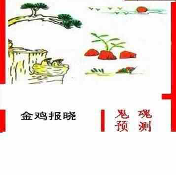 25030期: 白老3D杀码图版