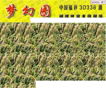 25336��: 3D�������Һ�����ͼ