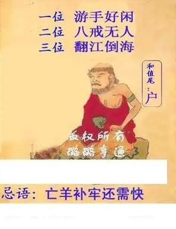 26078期: 白老3D杀码图版