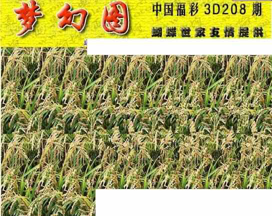 24208��: 3D�������Һ�����ͼ