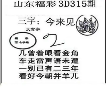 25315期: 三毛3D精品图谜