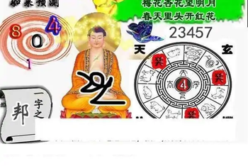 25330期: 白老3D杀码图版