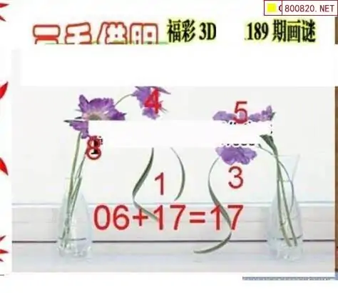 25189期: 三毛3D精品图谜