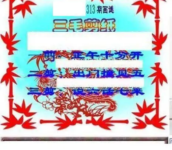 25313期: 三毛3D精品图谜