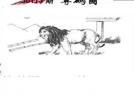 25113期: 三毛3D精品图谜