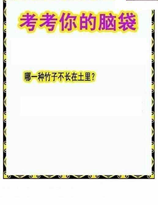 24118期: 白老3D杀码图版