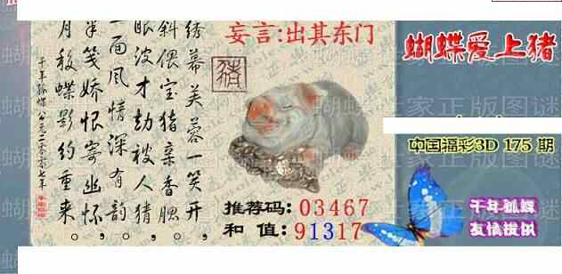 24175期: 3D蝴蝶世家蝴蝶彩图