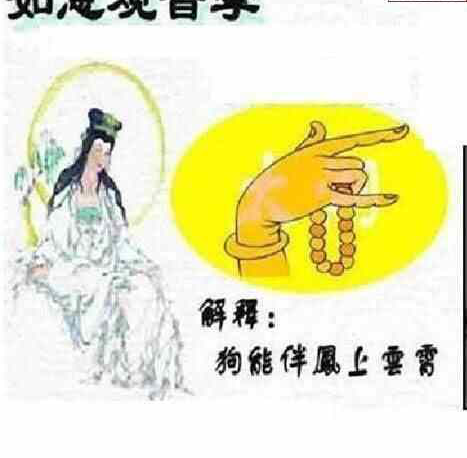 24109期: 太湖图福彩3D精品预测