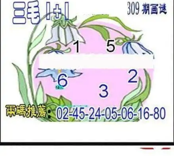 25309期: 三毛3D精品图谜