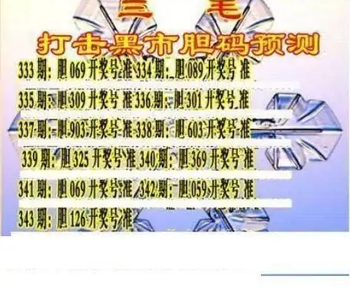 25343期: 三毛3D精品图谜