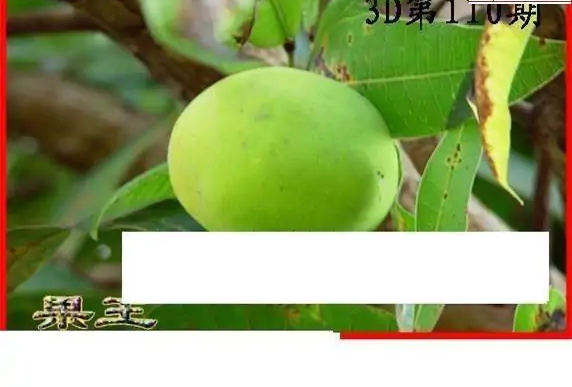 25110期: 白老3D杀码图版