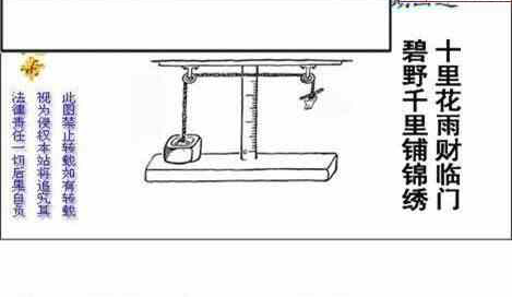 24259��: ����3Dɱ��ͼ��