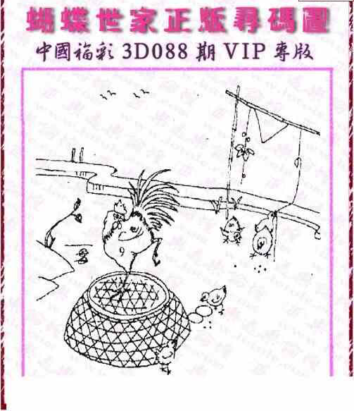 24088期: 3D蝴蝶世家蝴蝶彩图