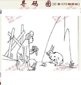 九宝图26079期福彩3D寻码图