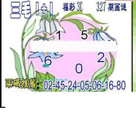 24327期: 三毛3D精品图谜