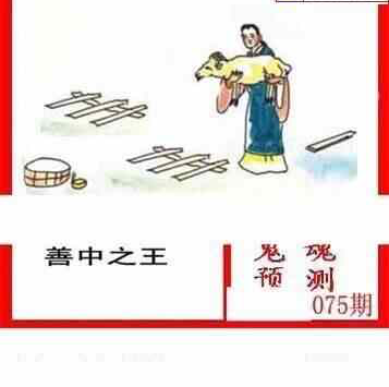 24075期: 白老3D杀码图版