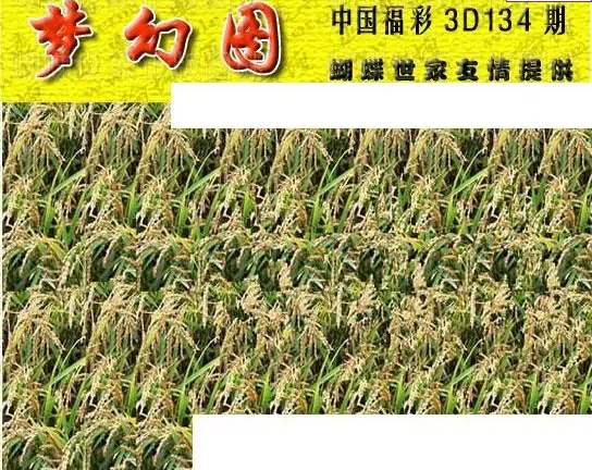 25134��: 3D�������Һ�����ͼ