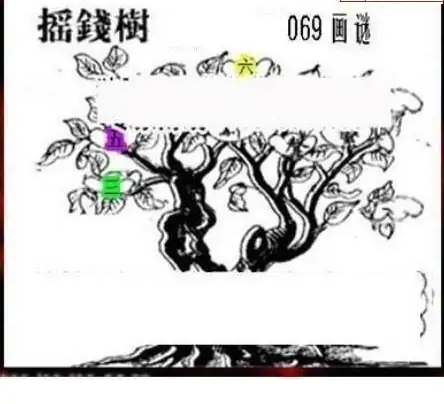 25069期: 三毛3D精品图谜