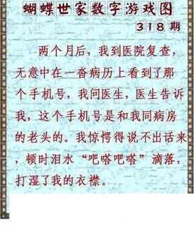 25318期: 3D蝴蝶世家蝴蝶彩图