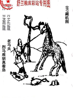 26097期: 老村长福彩3D天天图谜