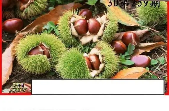 25259期: 白老3D杀码图版