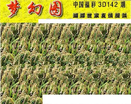 25142期: 3D蝴蝶世家蝴蝶彩图