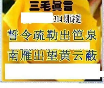 25314期: 三毛3D精品图谜