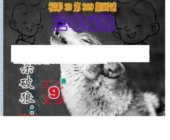 25309期: 三毛3D精品图谜