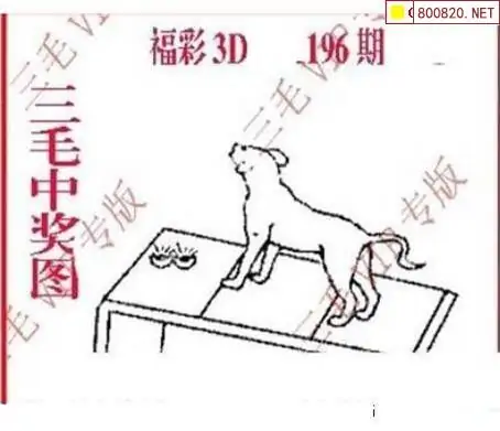 25196期: 三毛3D精品图谜