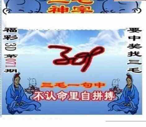 24071期: 三毛3D精品图谜